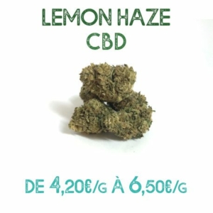 Lemon Haze CBD en vente sur Marie-Jeanne d'Arc de 4,20€/g à 6,50€/g
