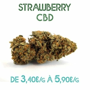 Strawberry CBD en vente chez Marie-Jeanne d'Arc à partir de 3,40€/g