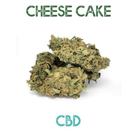 Cheese Cake CBD en vente sur Marie-Jeanne d'Arc