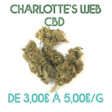 Charlotte's Web CBD en vente sur Marie-Jeanne d'Arc de 3€/g à 5€/g