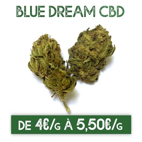 Blue Dream CBD en vente sur Marie-Jeanne d'Arc de 4€/g à 5,50€/g
