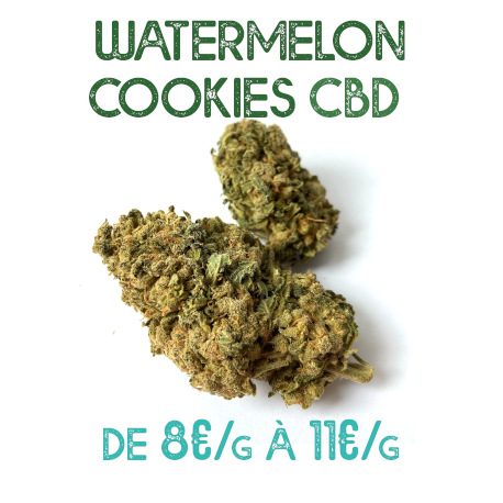 Watermelon Cookie CBD en vente sur Marie-Jeanne d'Arc de 8€/g à 11€/g