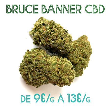 Bruce Banner CBD en vente sur Marie-Jeanne d'Arc de 9€/g à 13€/g