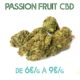Passion Fruit CBD en vente sur Marie-Jeanne d'Arc de 6€/g à 9€/g