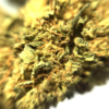 BZ1 CBD en vente sur Marie-Jeanne d'Arc de 3,60€/g à 5,60€/g