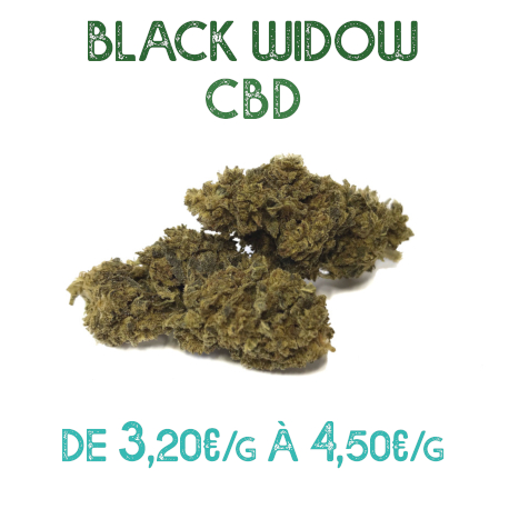 Black Widow CBD en vente sur Marie-Jeanne d'Arc de 3,20€/g