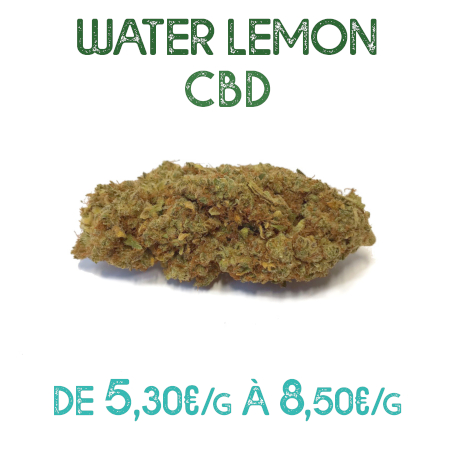 Water Lemon CBD en vente sur Marie-Jeanne d'Arc à partir de 5,30€/g