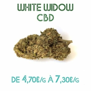 White Widow CBD en vente sur Marie-Jeanne d'Arc de 4,70€/g à 7,30€/g