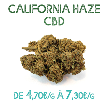 California Haze CBD en vente chez Marie-Jeanne d'Arc de 4,70€/g à 7,30€/g
