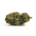 Black Gas CBD