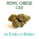 Royal Cheese CBD en vente sur Marie-Jeanne d'Arc à partir de de 5,70€/g