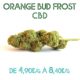 Orange Bud Frost CBD en vente sur Marie-Jeanne d'Arc à partir de 4,90€/g