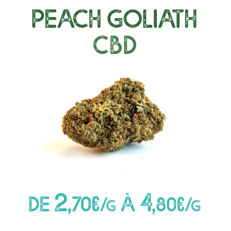 Variété Peach Goliath CBD en vente sur Marie-Jeanne d'Arc à partir de 2,70€/g