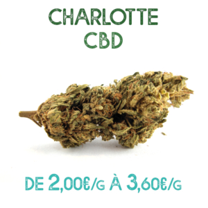 Charlotte CBD en vente chez Marie-Jeanne d'Arc à partir de 2,00€/g