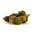 Jack Herer CBD en vente chez Marie-Jeanne d'Arc à partir de 3,10€/g