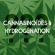 H4CBD, HHC : Qu'appelle-t-on un dérivé hydrogéné de cannabinoïde ?