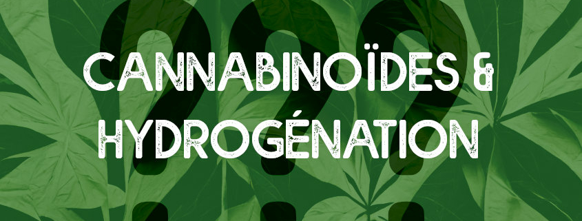 H4CBD, HHC : Qu'appelle-t-on un dérivé hydrogéné de cannabinoïde ?