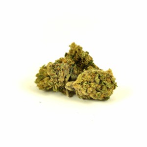 Découvrez la variété Rainbow CBD dont les fleurs sont au meilleur rapport qualité/prix chez Marie-Jeanne d'Arc