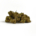 Harlequin CBD (Small Buds)